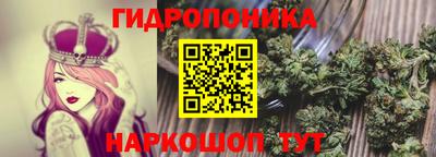 гидропоника Ливны